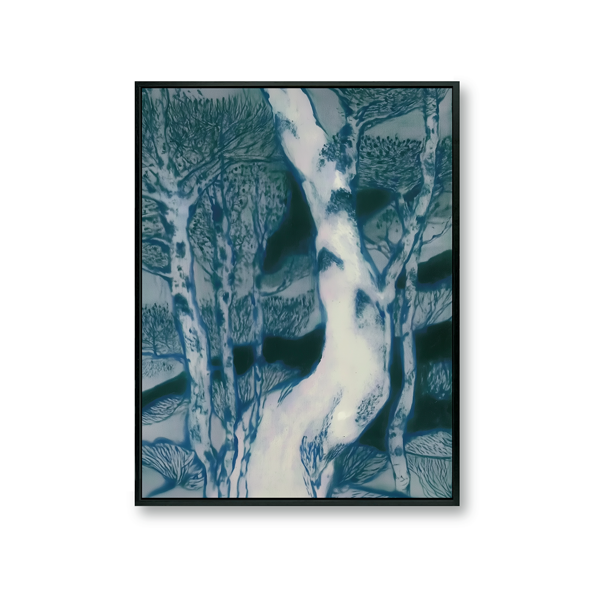 the sinewy branches of the pine