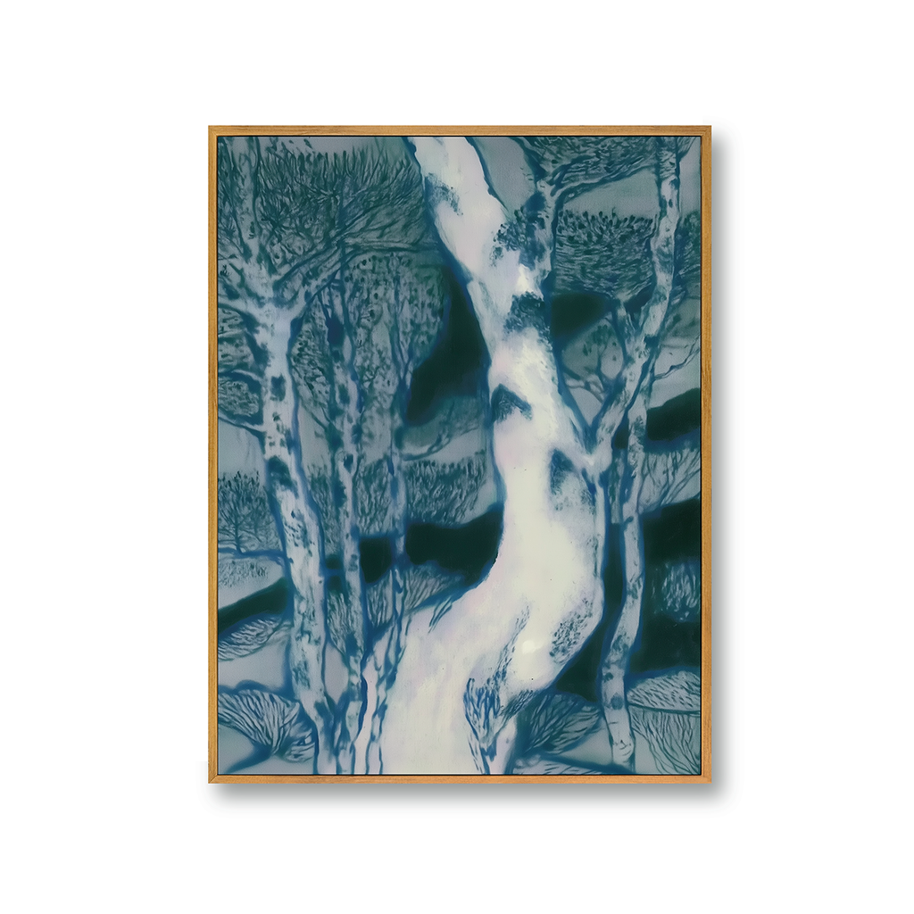 the sinewy branches of the pine