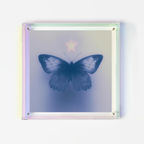 Butterfly's Vespers