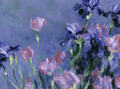 Restless Garden2