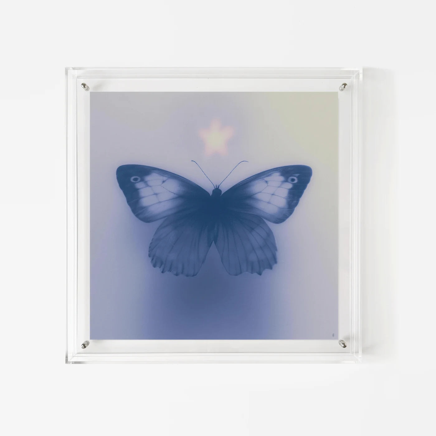 Butterfly's Vespers